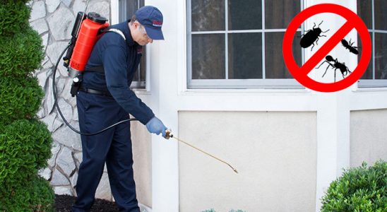Ordu Gümüşkurt İlaçlama böcek ilaçlama ve haşere kontrolü — ilaclama-tr.com